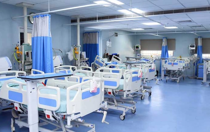 Pharma, Medical & Healthcare
